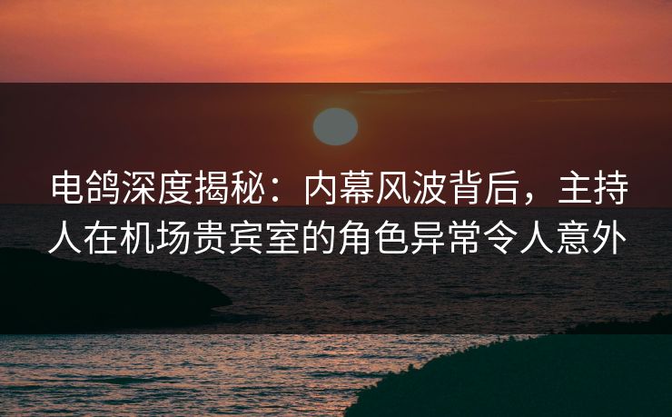 电鸽深度揭秘：内幕风波背后，主持人在机场贵宾室的角色异常令人意外