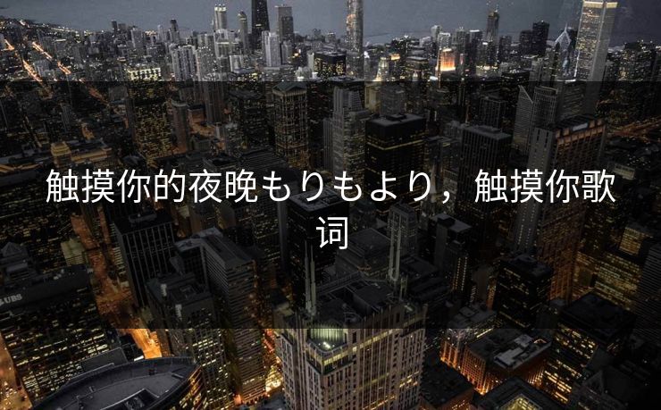 触摸你的夜晚もりもより，触摸你歌词