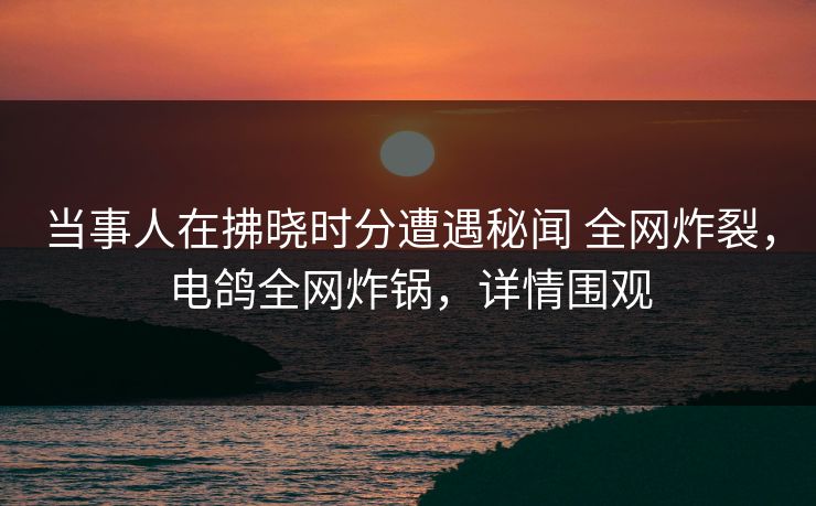 当事人在拂晓时分遭遇秘闻 全网炸裂，电鸽全网炸锅，详情围观
