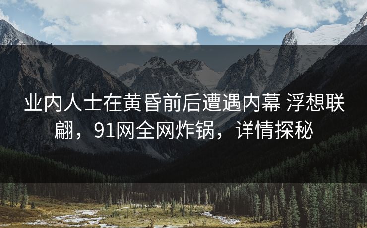 业内人士在黄昏前后遭遇内幕 浮想联翩，91网全网炸锅，详情探秘